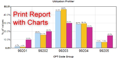 View sample Utilization Benchmark Profiler report with charts